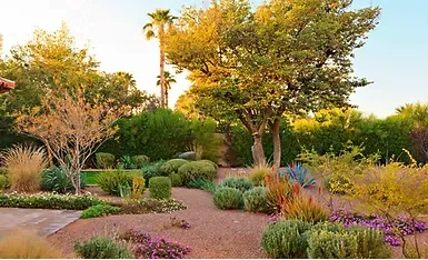 Top-rated garden landscaping in Mission Hills, CA by Castellon Greenworks