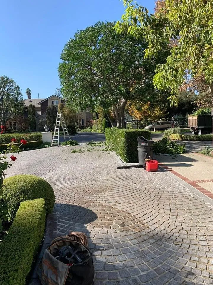Trusted yard maintenance in Mission Hills, CA by Castellon Greenworks