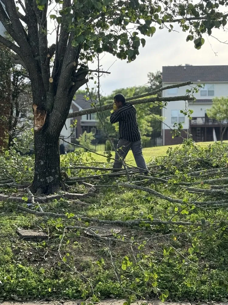 Trusted outdoor landscaping for homes across Bowling Green, KY - Castellons Tree And Lawn Service