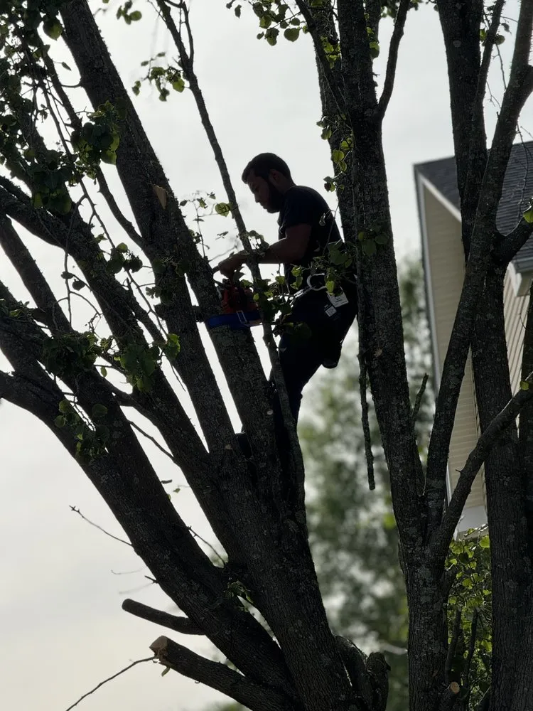 Custom garden landscaping for outdoor upgrades across Bowling Green, KY - Castellons Tree And Lawn Service