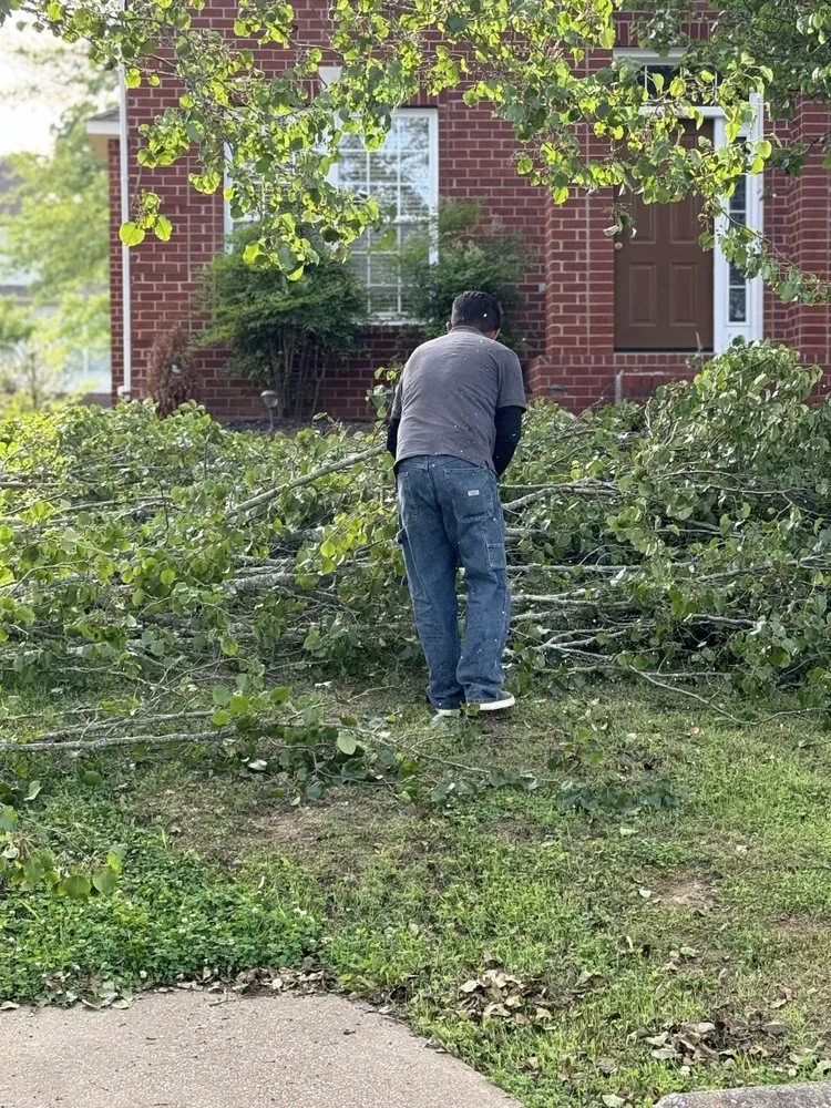 Professional outdoor landscaping in Bowling Green, KY - Castellons Tree And Lawn Service