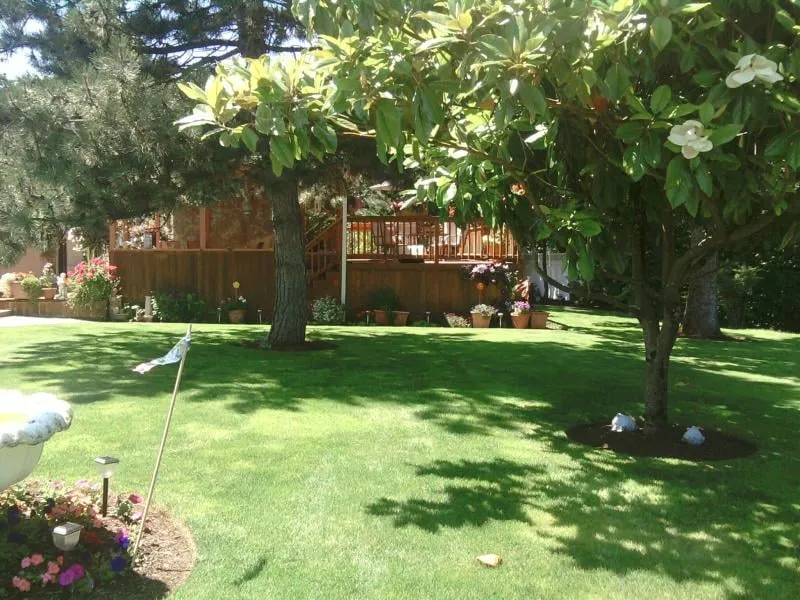 Expert landscaping services in Sesser, IL by Casten Lawn Care