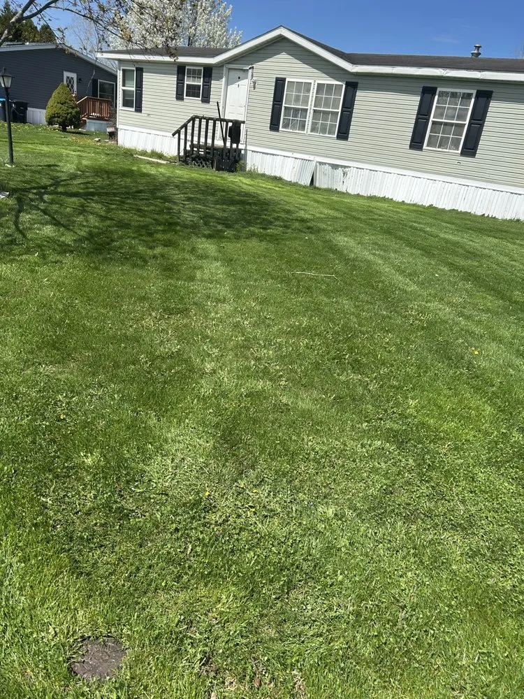 Reliable yard maintenance for year-round maintenance in Clifton Springs, NY by Caster Oil & Lawn