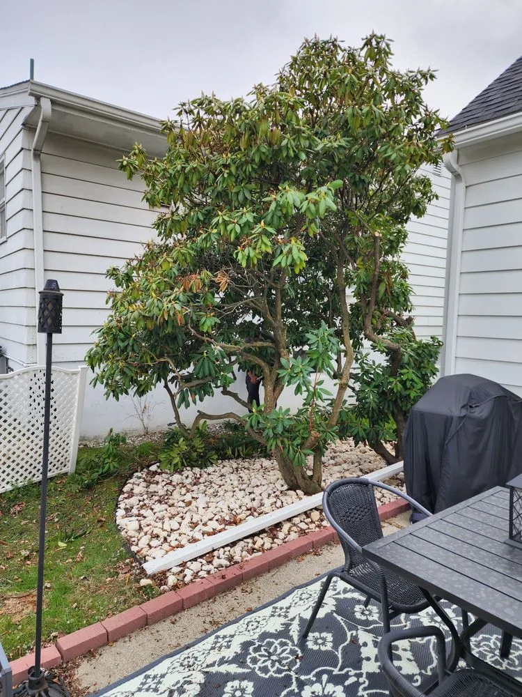 Expert landscaping services for beautiful yards across Dallas, PA - Casterline Ground Maintenance