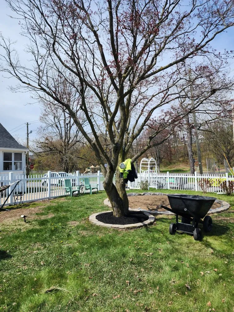 Reliable landscaping services in Dallas, PA by Casterline Ground Maintenance