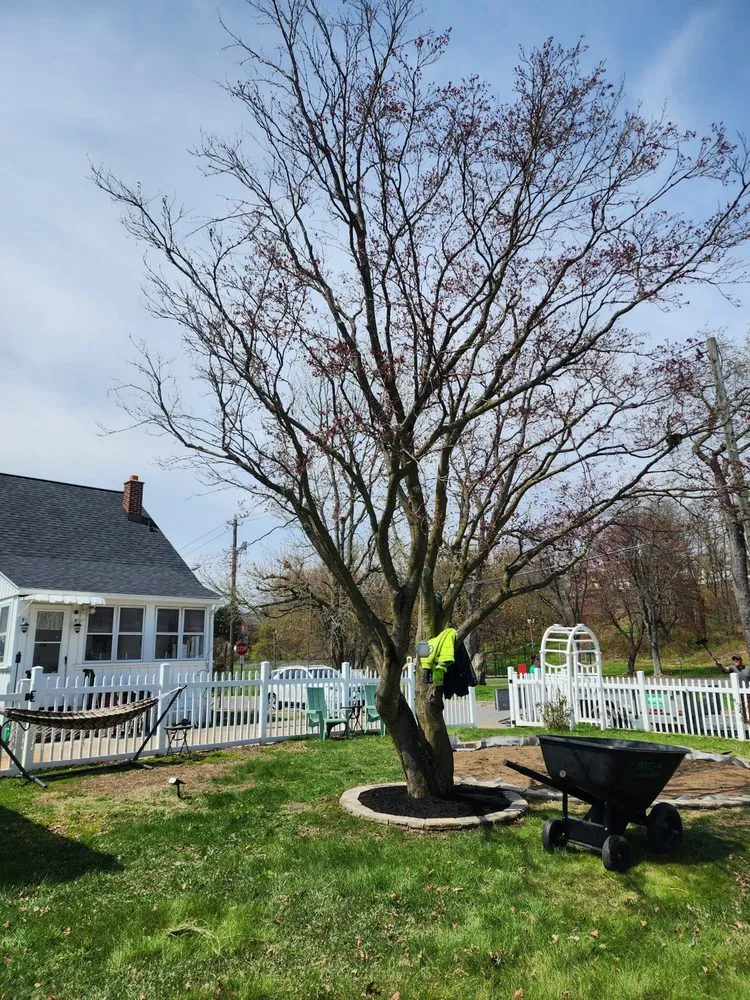 Reliable garden landscaping in Dallas, PA by Casterline Ground Maintenance