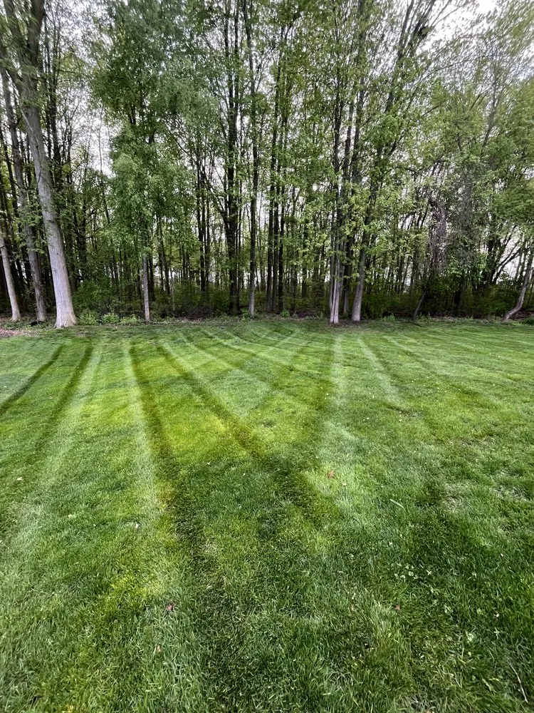 Trusted landscape installation experts serving Charter Township of Clinton, MI - Castillero Lawn And Landscaping
