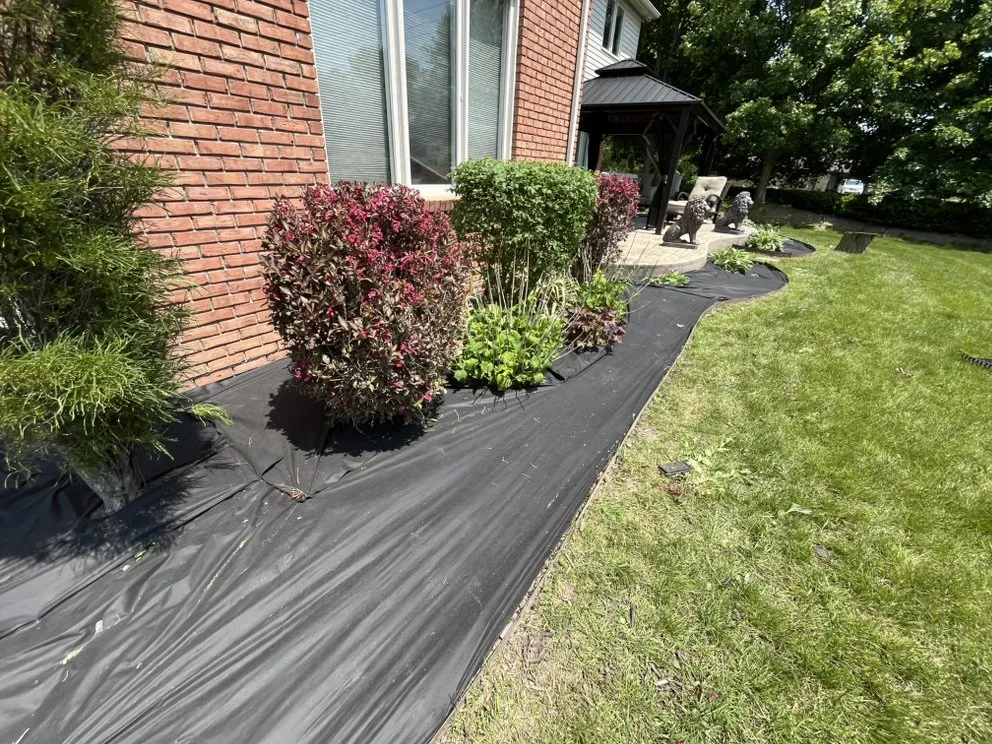 Reliable yard cleanup service for homes across Charter Township of Clinton, MI - Castillero Lawn And Landscaping
