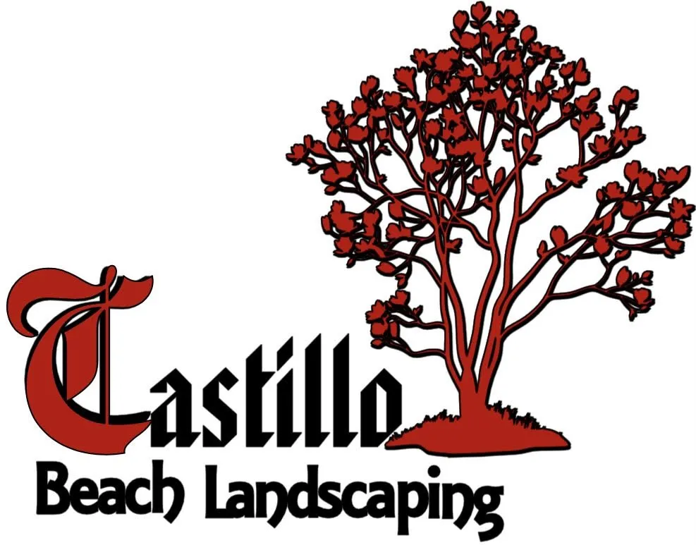 Affordable outdoor landscaping in Myrtle Beach, SC by Castillo Beach Land