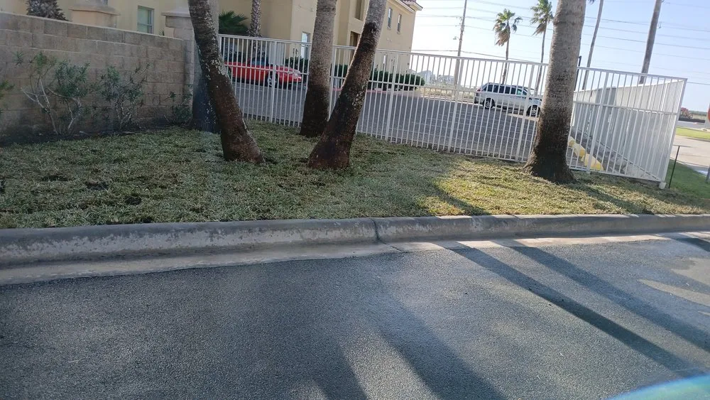 Custom landscaping services in Los Fresnos, TX by Castillo Eduardo Landscaping