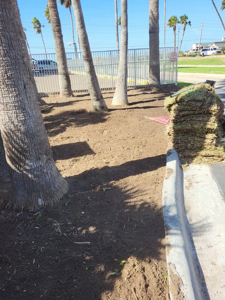 Custom landscape installation in Los Fresnos, TX - Castillo Eduardo Landscaping