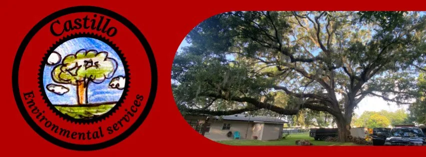 Reliable lawn mowing service for beautiful yards across Haines City, FL - Castillo Environmental Services