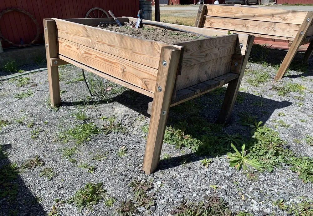 Expert yard cleanup service near you in Santa Rosa, CA by Castillo Land Restoration & Land Management