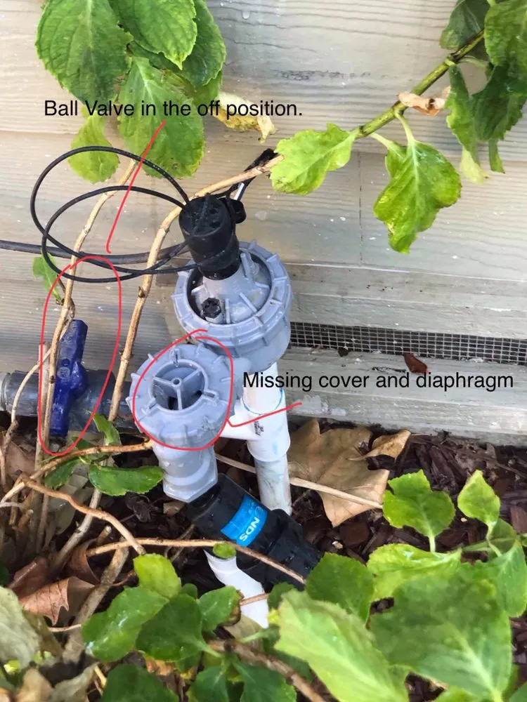 Trusted residential landscaping in Santa Rosa, CA by Castillo Land Restoration & Land Management