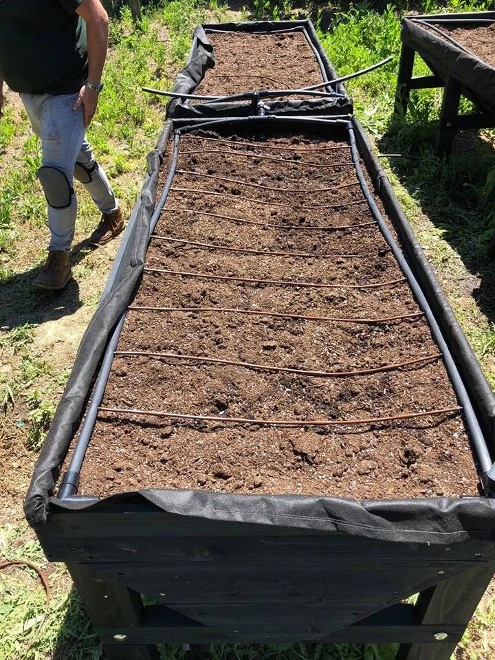 Expert lawn care service experts serving Santa Rosa, CA - Castillo Land Restoration & Land Management