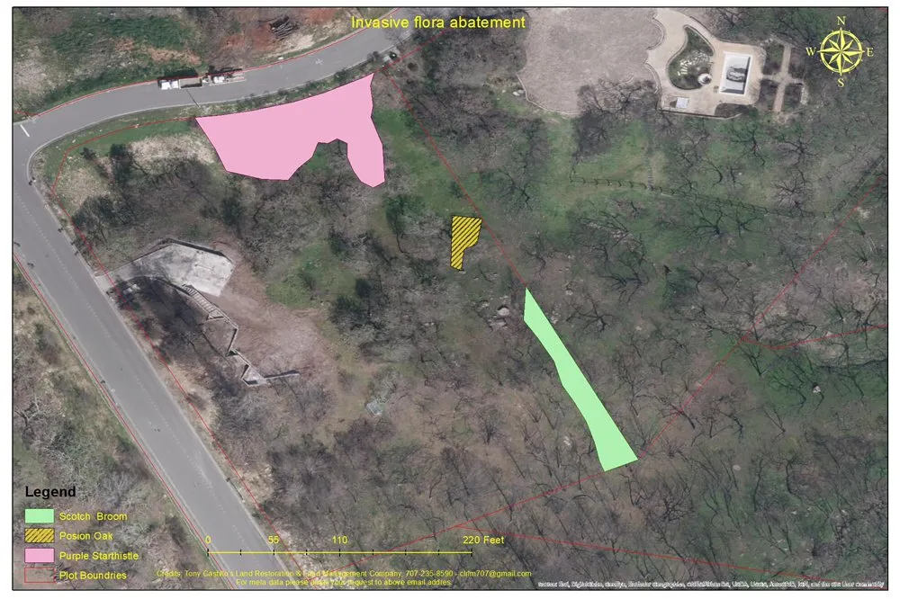 Local yard cleanup service experts serving Santa Rosa, CA - Castillo Land Restoration & Land Management