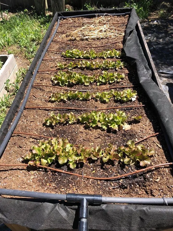 Top-rated landscape installation experts serving Santa Rosa, CA - Castillo Land Restoration & Land Management