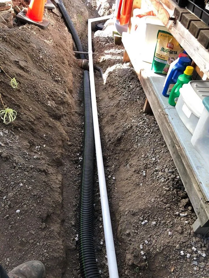 Custom yard cleanup service near you across Santa Rosa, CA - Castillo Land Restoration & Land Management