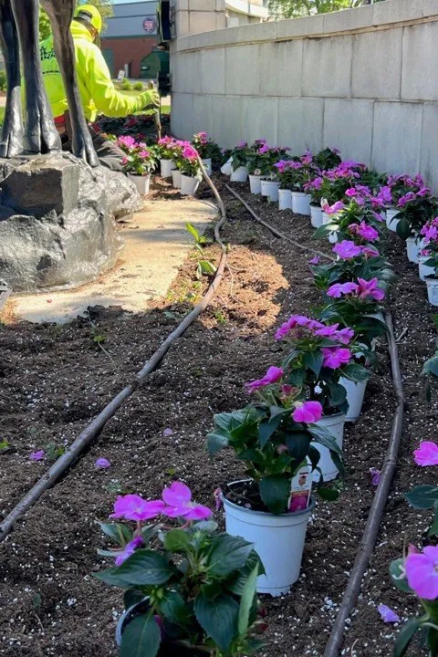 Trusted outdoor landscaping with custom design across Elk Grove Village, IL - Castillo Landscape