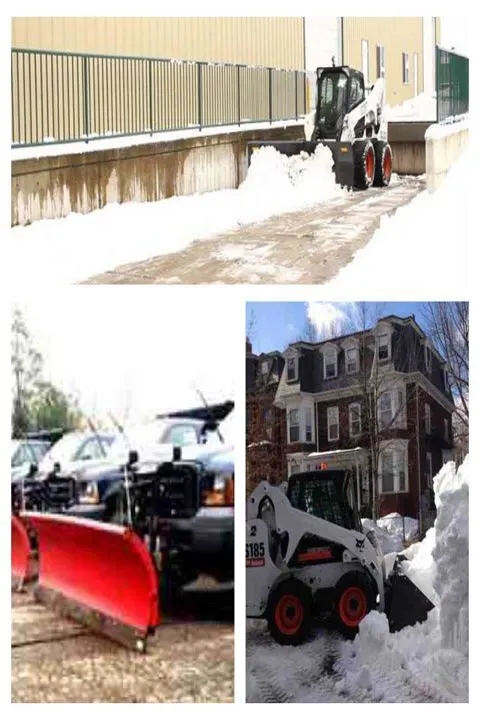 Local landscaping services in Elk Grove Village, IL by Castillo Landscape