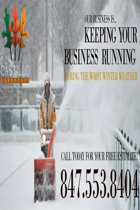 Trusted yard cleanup service experts serving Elk Grove Village, IL - Castillo Landscape