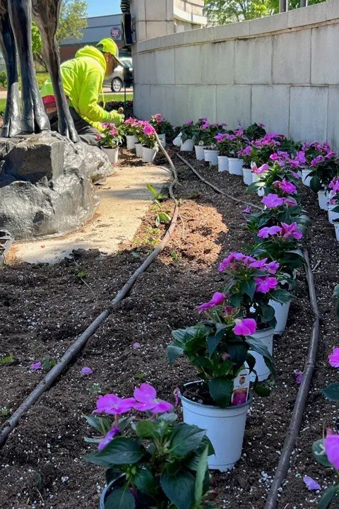 Affordable yard cleanup service for outdoor upgrades across Elk Grove Village, IL - Castillo Landscape