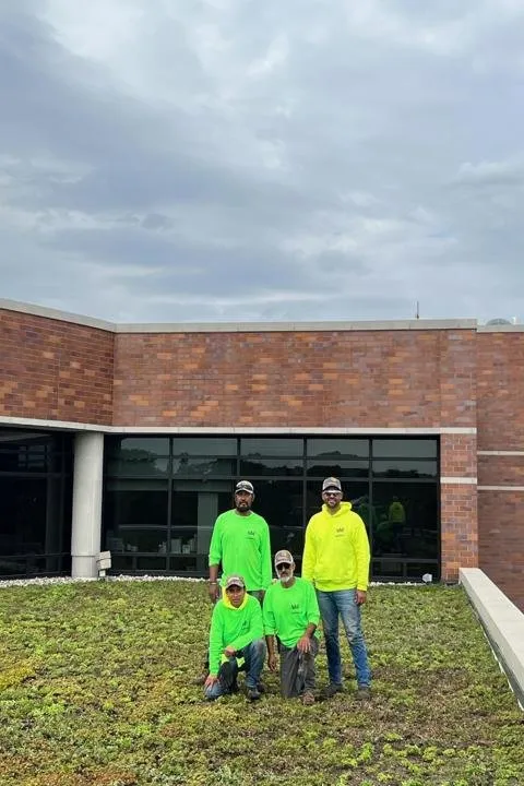 Local yard cleanup service for homes across Elk Grove Village, IL - Castillo Landscape