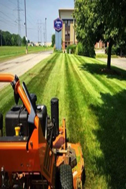 Expert garden landscaping experts serving Elk Grove Village, IL - Castillo Landscape