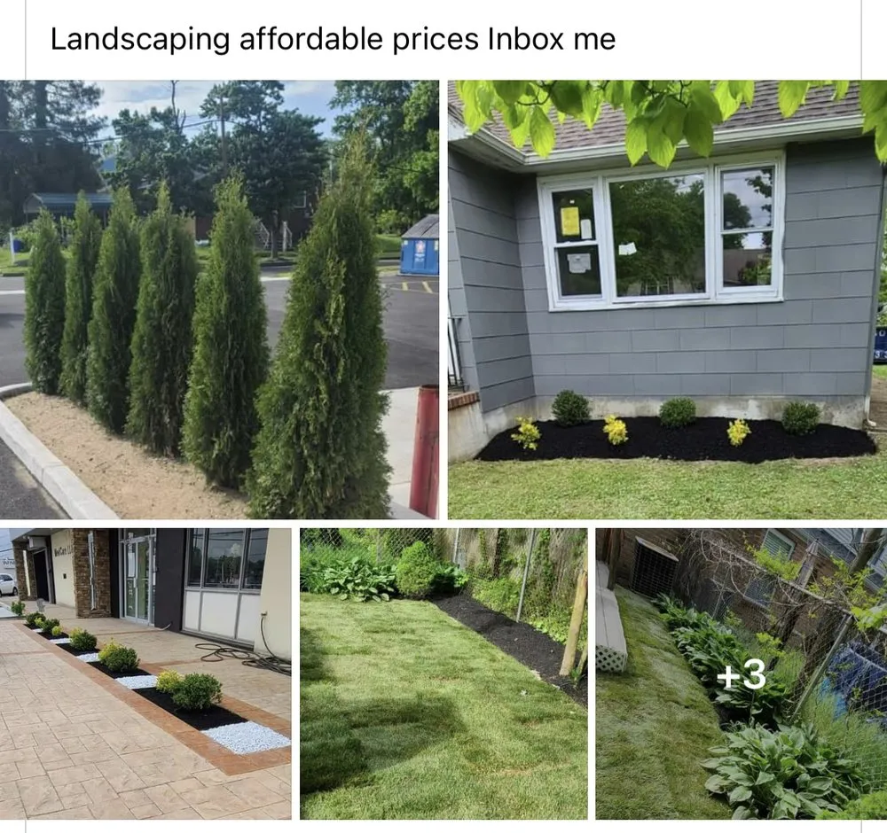 Local residential landscaping for year-round maintenance in Delair, NJ by Castillo Landscape Services