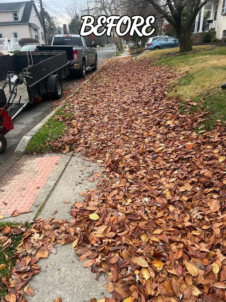Affordable yard maintenance in Delair, NJ by Castillo Landscape Services