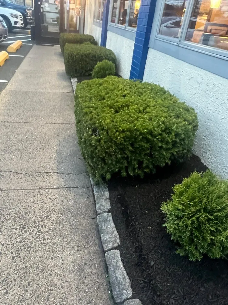 Top-rated lawn mowing service in Delair, NJ - Castillo Landscape Services