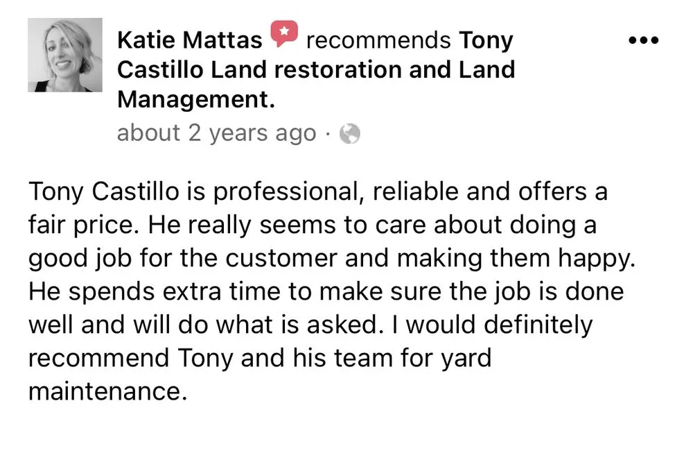 Custom yard maintenance for beautiful yards across Healdsburg, CA - Castillo Landscaping & Landscape Construction