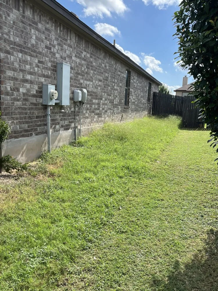 Expert lawn care service with custom design across Austin, TX - Castillo Landscaping & Lawn Care