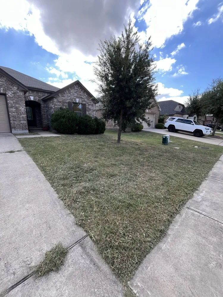 Affordable lawn care service in Austin, TX by Castillo Landscaping & Lawn Care