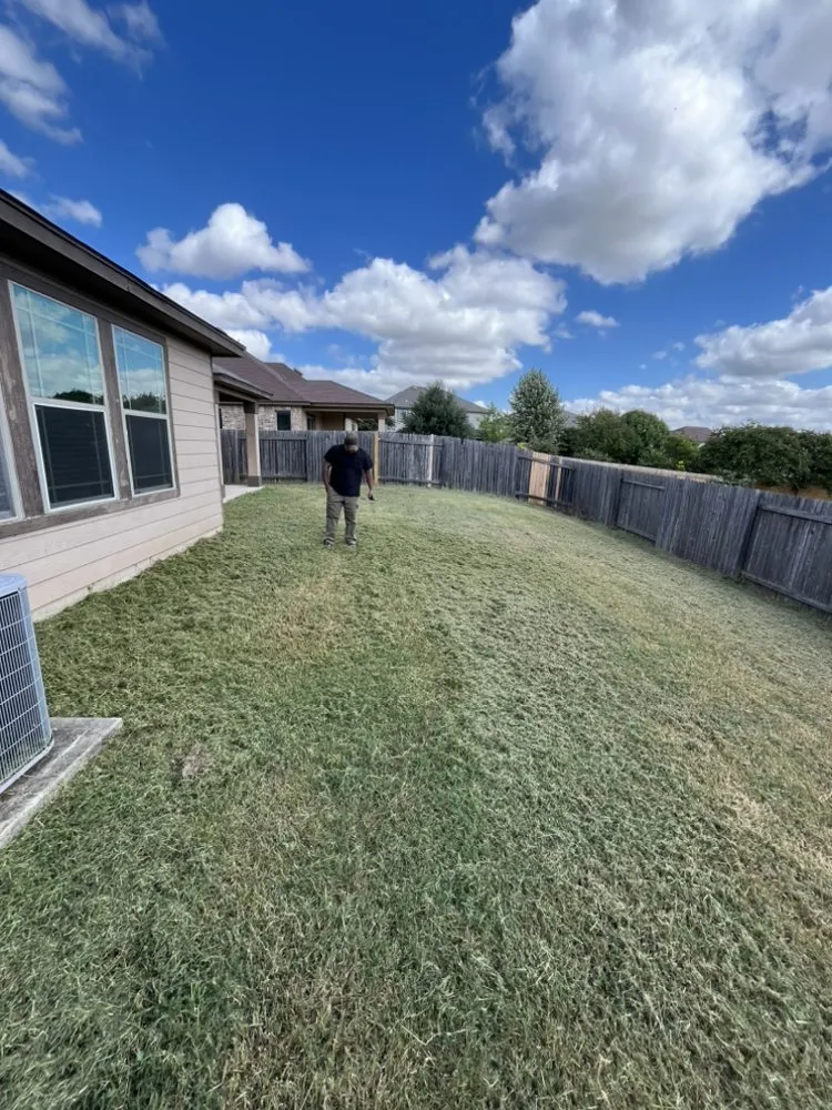 Professional yard cleanup service near you in Austin, TX by Castillo Landscaping & Lawn Care