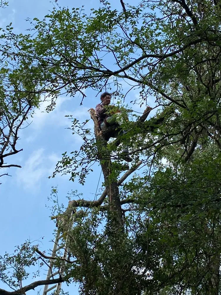 Trusted outdoor landscaping with custom design in Austin, TX by Castillo Landscaping & Lawn Care