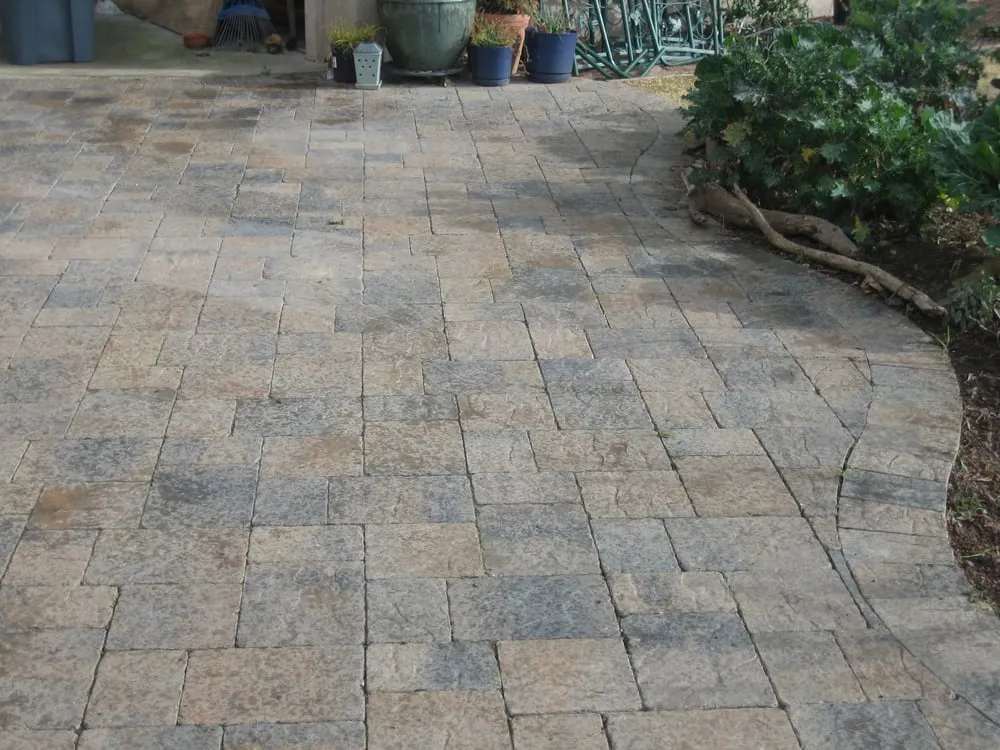 Local yard cleanup service in Redwood City, CA by Castillo Landscaping & Tree Services