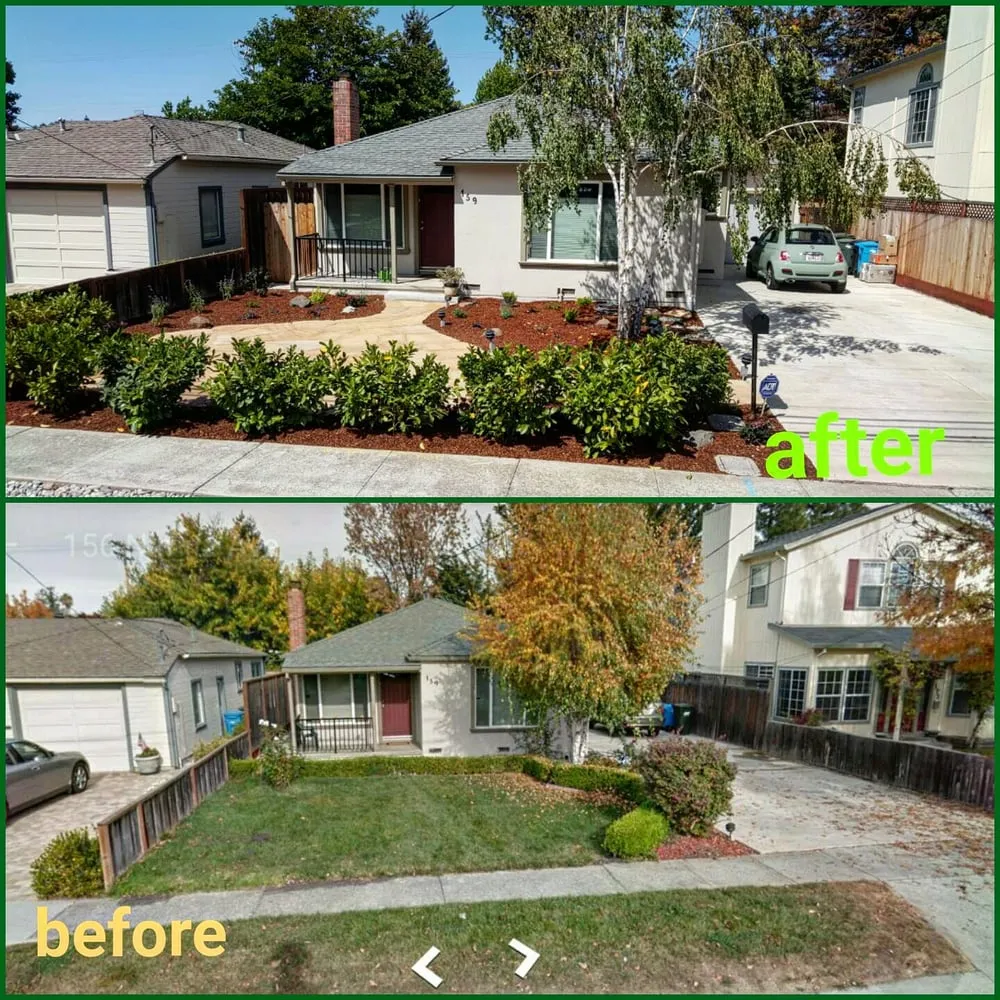 Reliable lawn mowing service for beautiful yards across Redwood City, CA - Castillo Landscaping & Tree Services