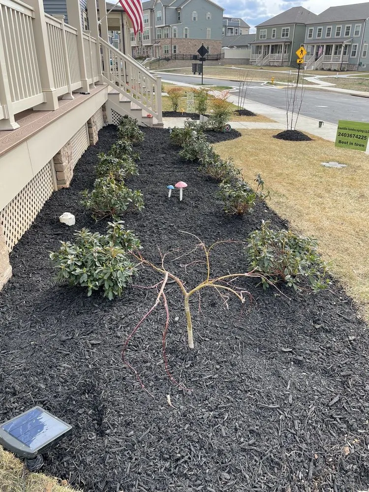 Custom landscape design for year-round maintenance across Clear Spring, MD - Castillo Landscaping Services