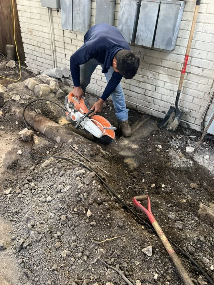 Professional garden landscaping for beautiful yards across Mesquite, TX - Castillo Lanscape