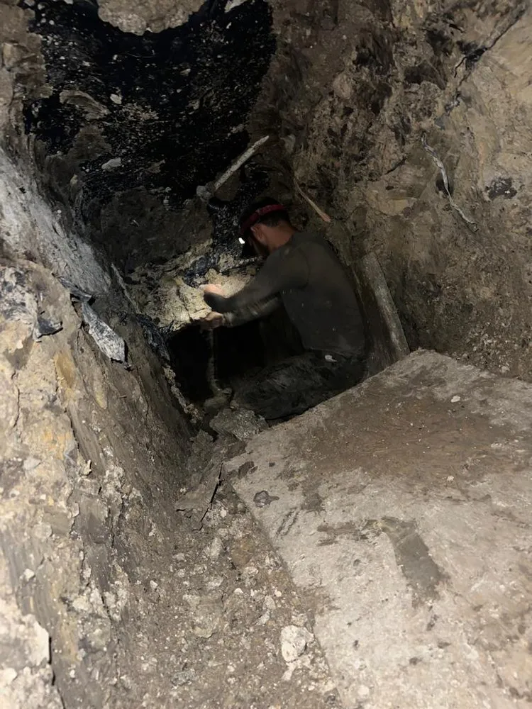 Local yard cleanup service in Mesquite, TX - Castillo Lanscape