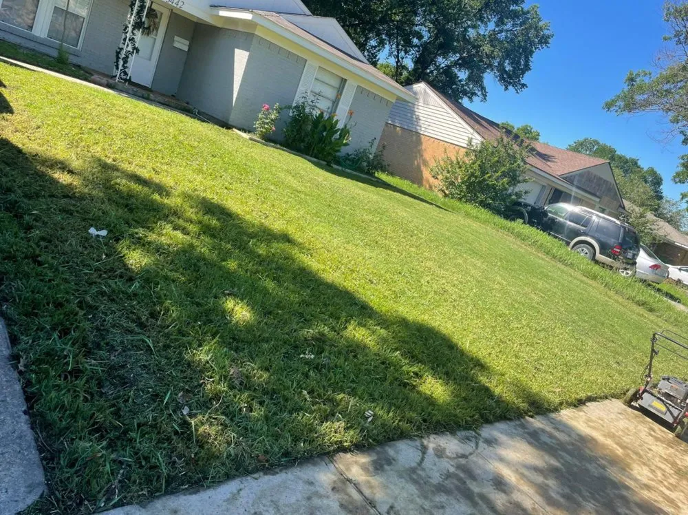 Trusted yard maintenance experts serving Mesquite, TX - Castillo Lanscape