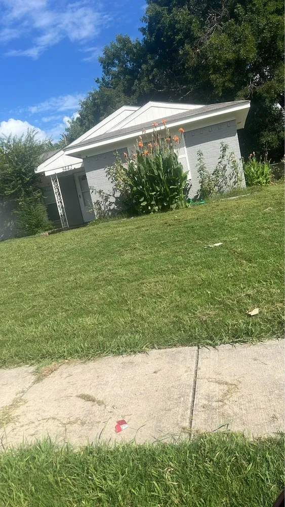 Local yard cleanup service for homes across Mesquite, TX - Castillo Lanscape