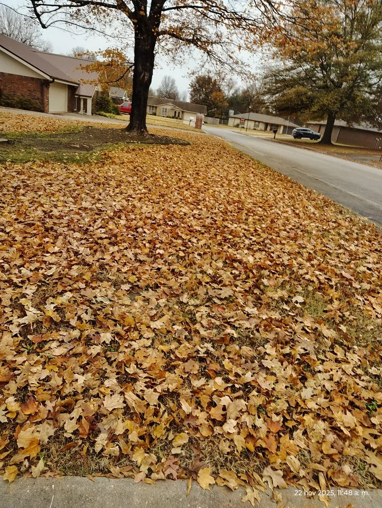 Trusted outdoor landscaping in Springdale, AR - Castillo Lawn Care