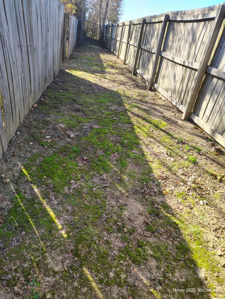 Custom lawn mowing service in Springdale, AR - Castillo Lawn Care