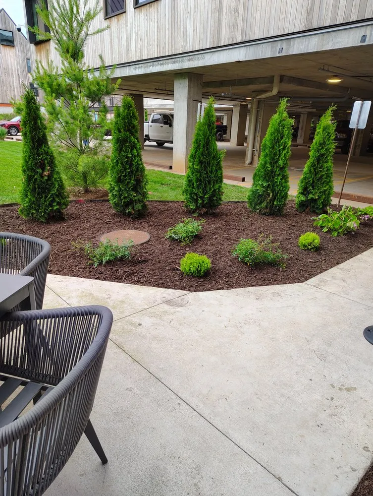 Local yard maintenance experts serving Springdale, AR - Castillo Lawn Care