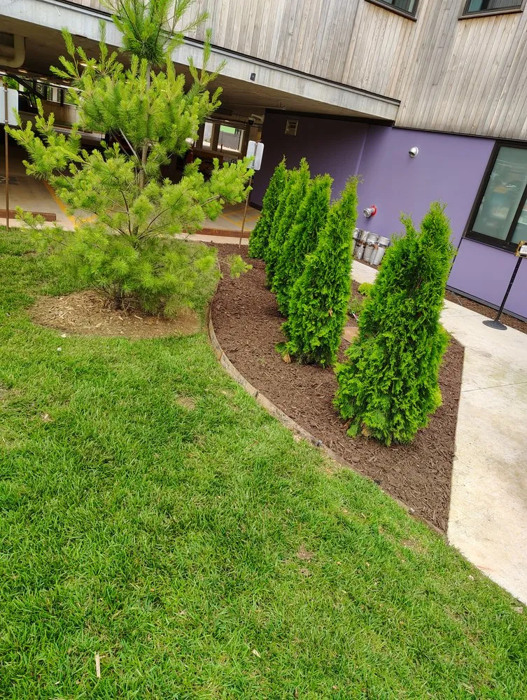 Expert lawn mowing service with custom design in Springdale, AR by Castillo Lawn Care