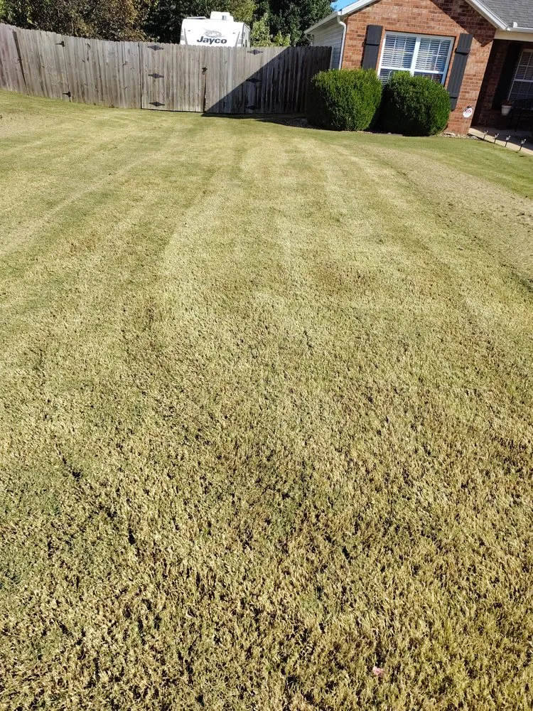Local landscaping services experts serving Springdale, AR - Castillo Lawn Care