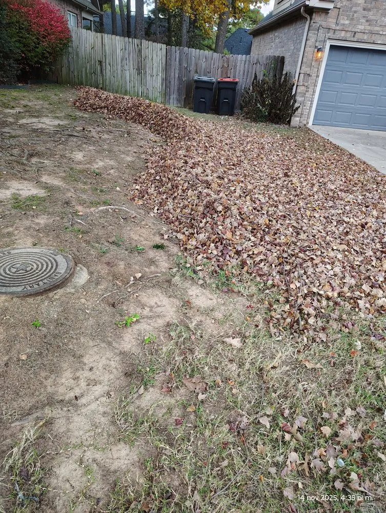 Expert landscape installation near you across Springdale, AR - Castillo Lawn Care