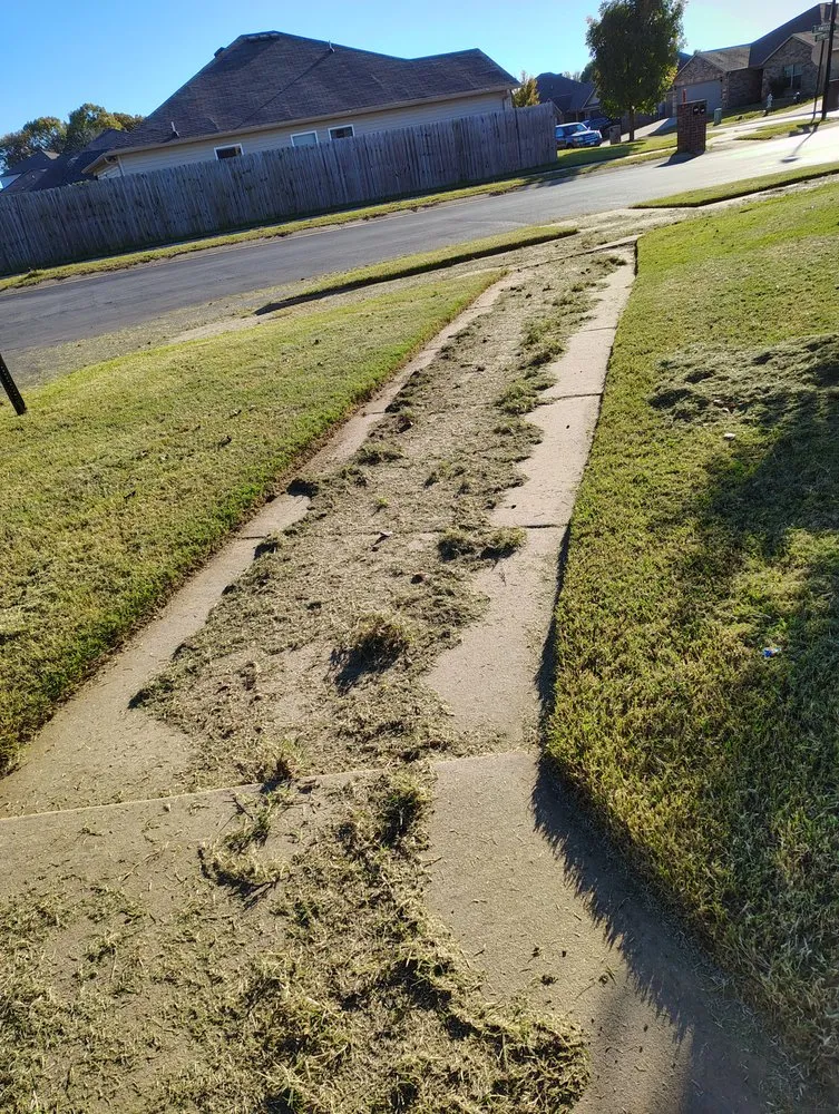 Professional yard cleanup service in Springdale, AR - Castillo Lawn Care